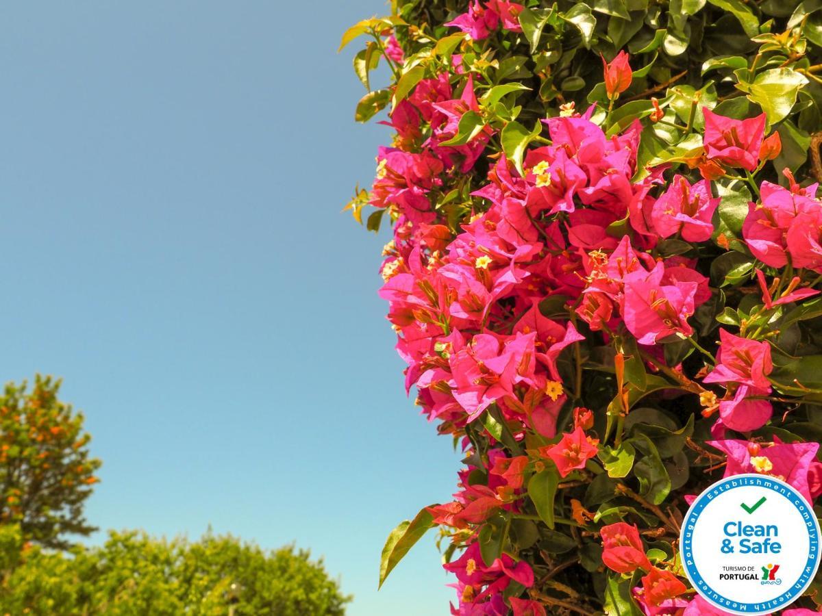 Club House Cvl Hotel Praia Da Luz Bagian luar foto